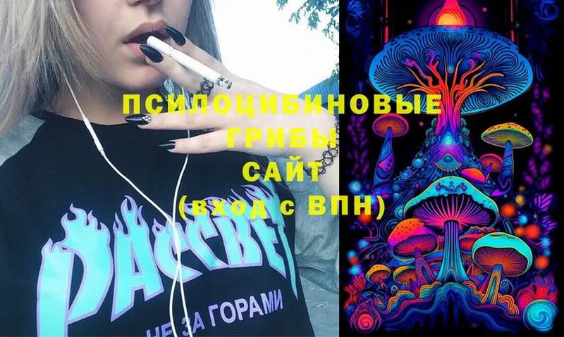 Псилоцибиновые грибы Psilocybine cubensis  Балтийск 